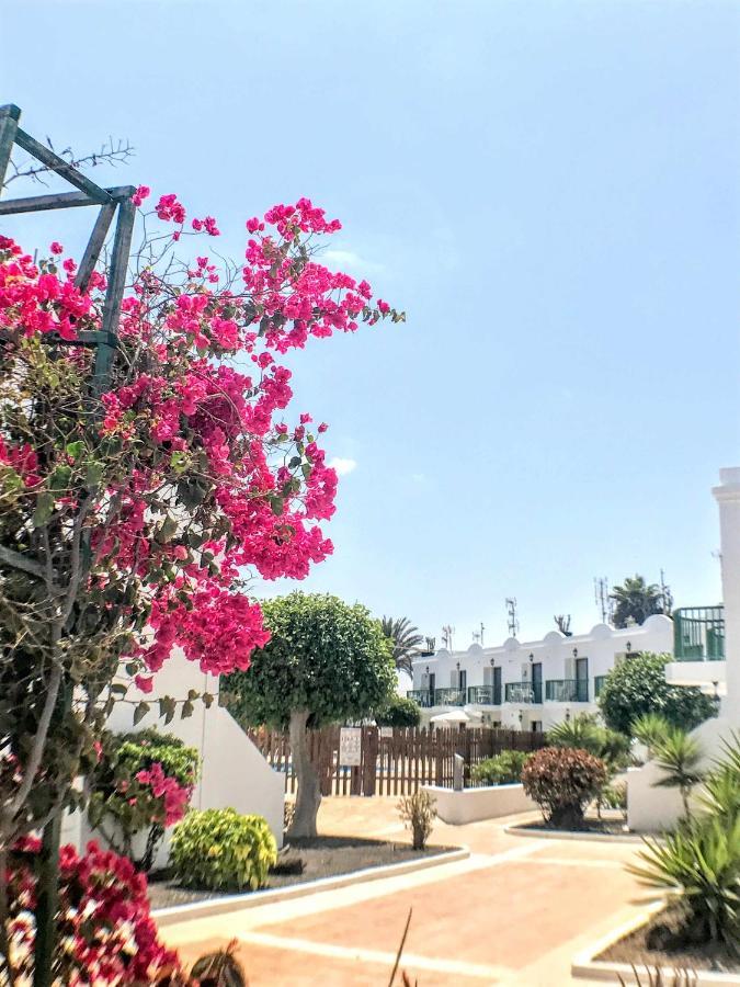 Armonia Pool View & Wi-Fi By Irent Fuerteventura Apartment Corralejo Bagian luar foto